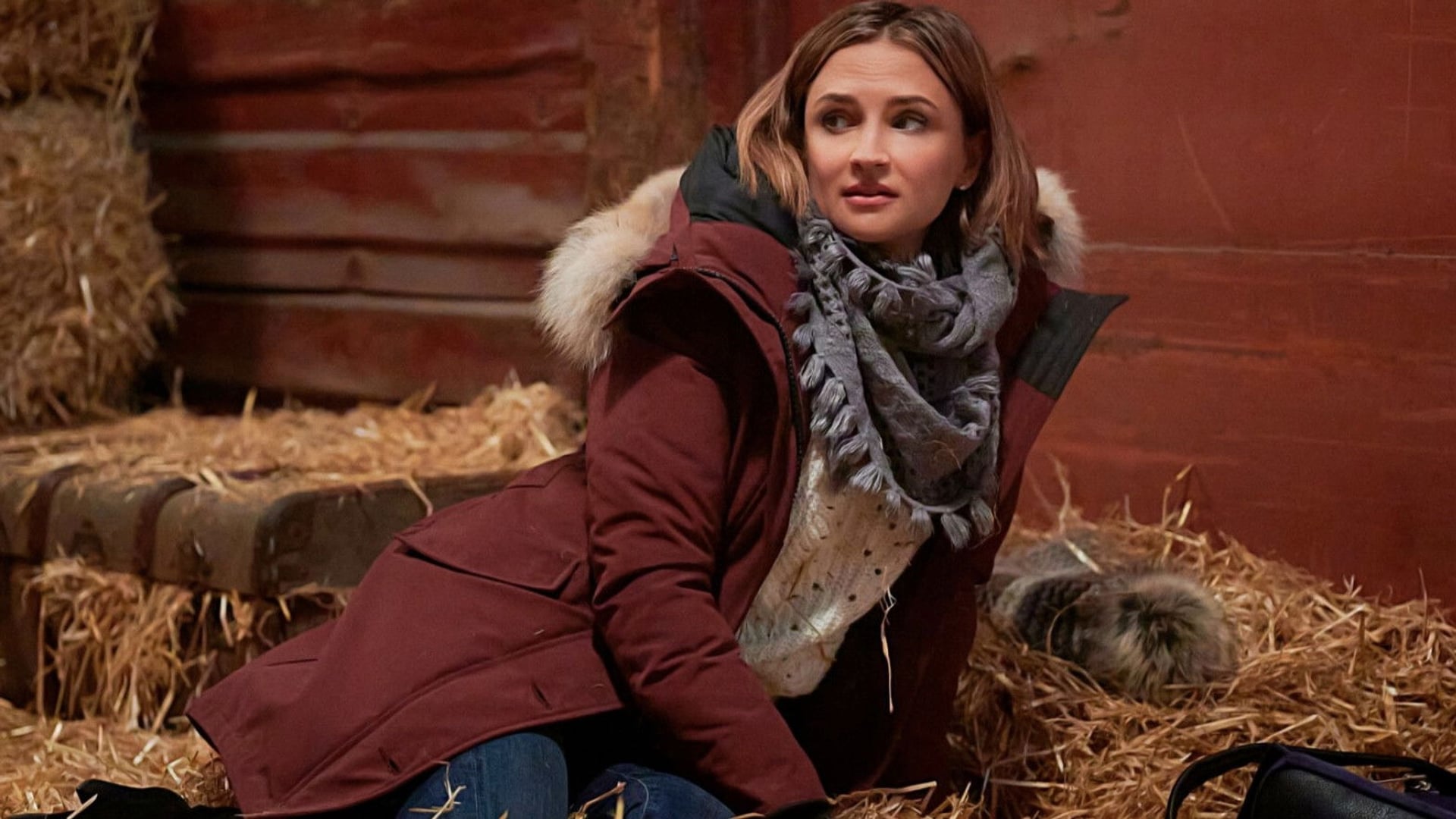 Foto do filme Expresso de Natal