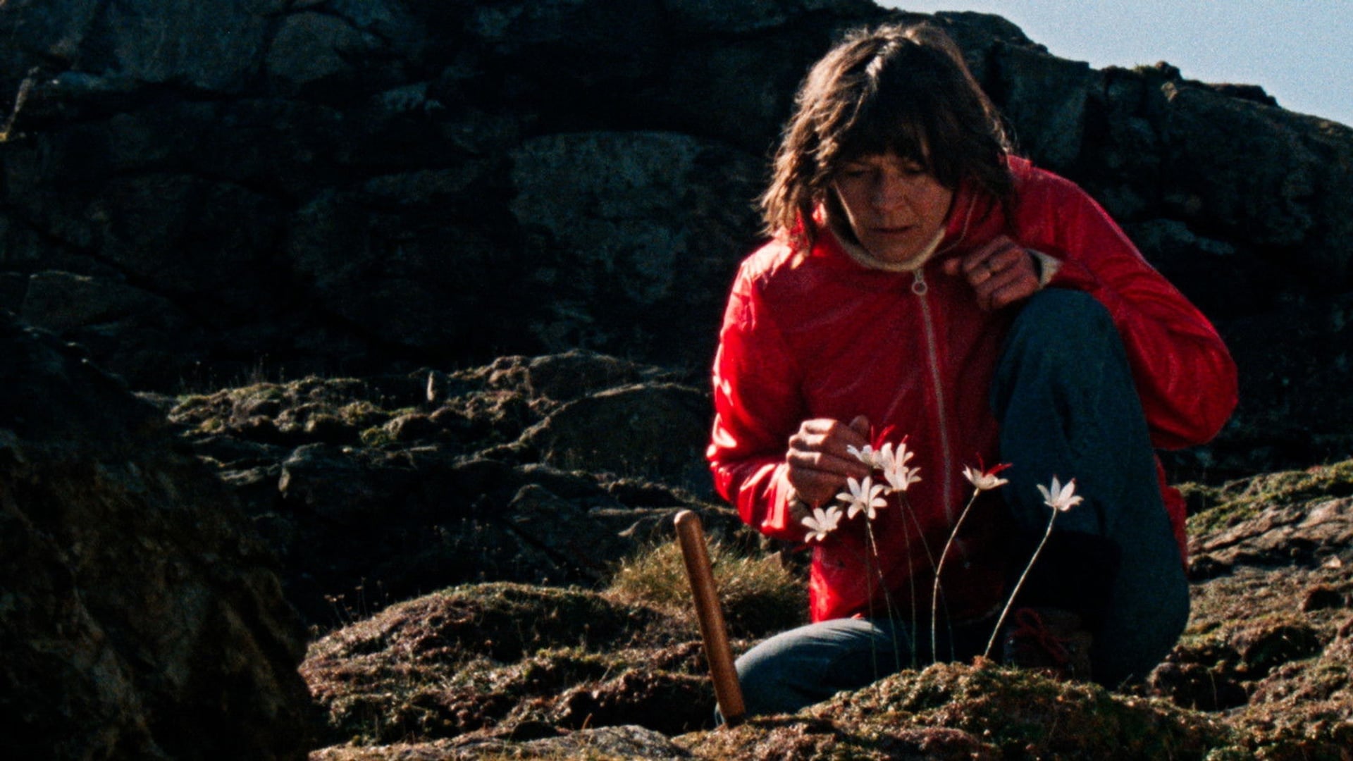 Foto do filme Enys Men