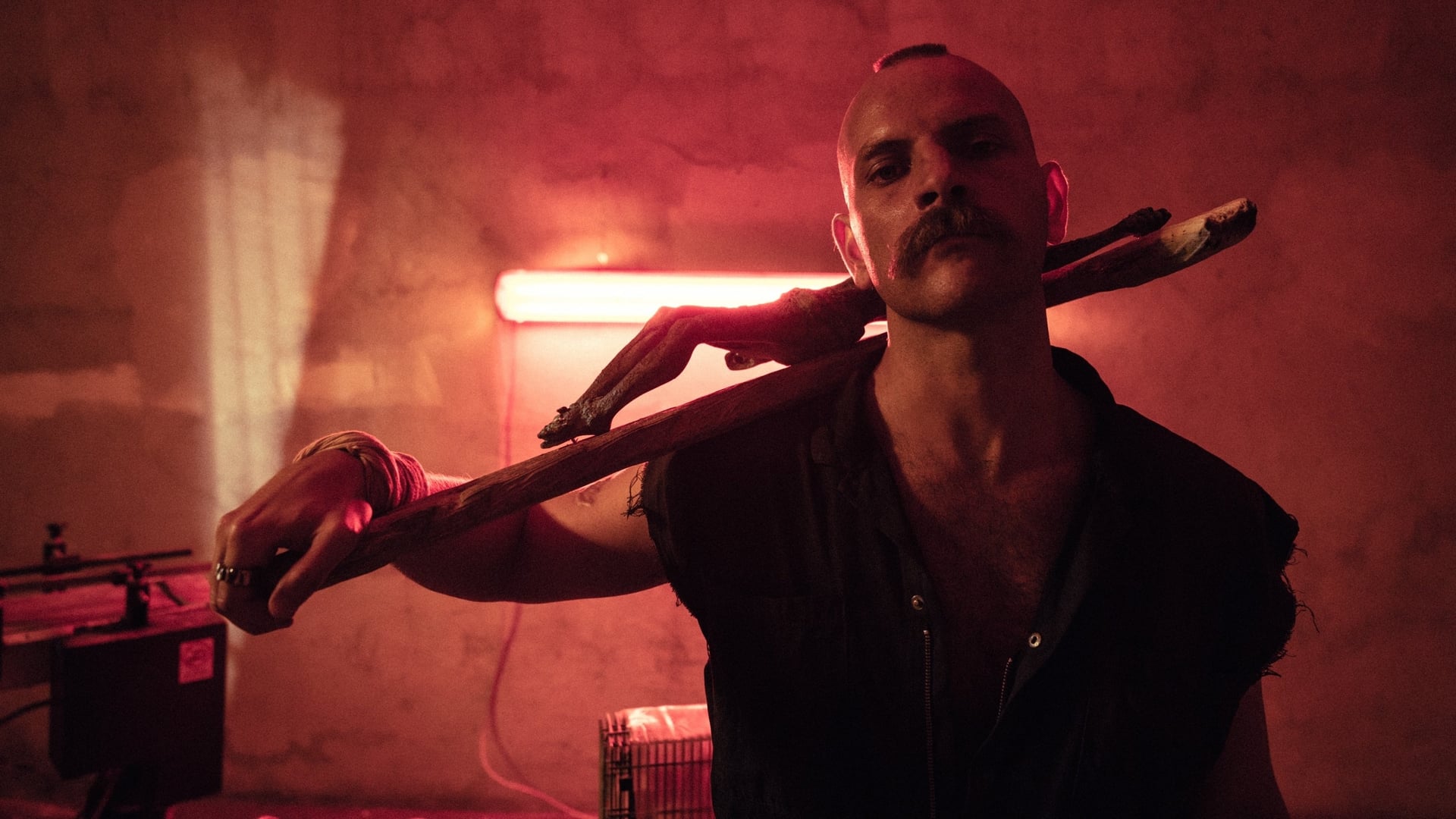 Foto do filme Mundo Cão