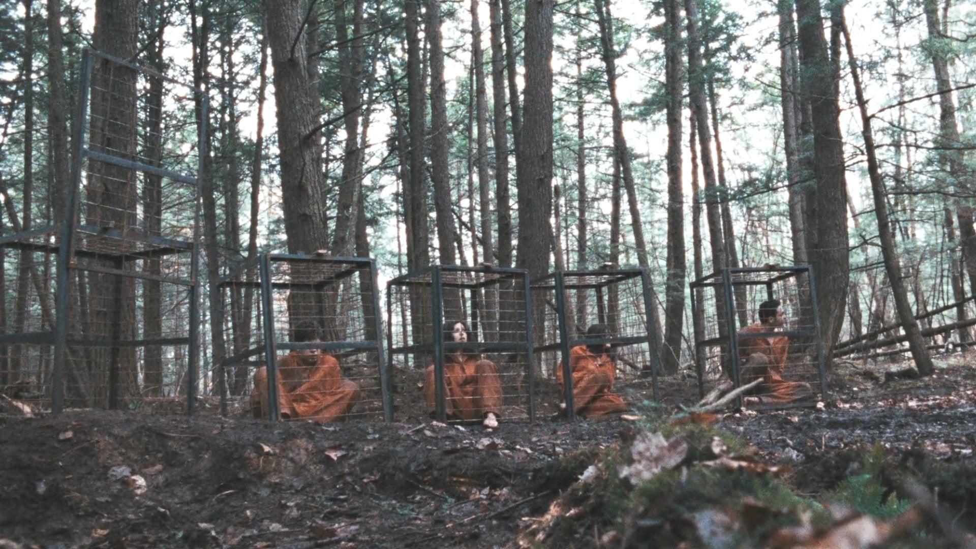 Foto do filme Territories