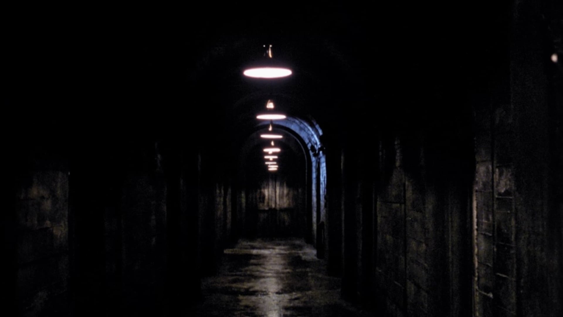 Foto do filme The Bunker - Em Guerra Contra o Medo