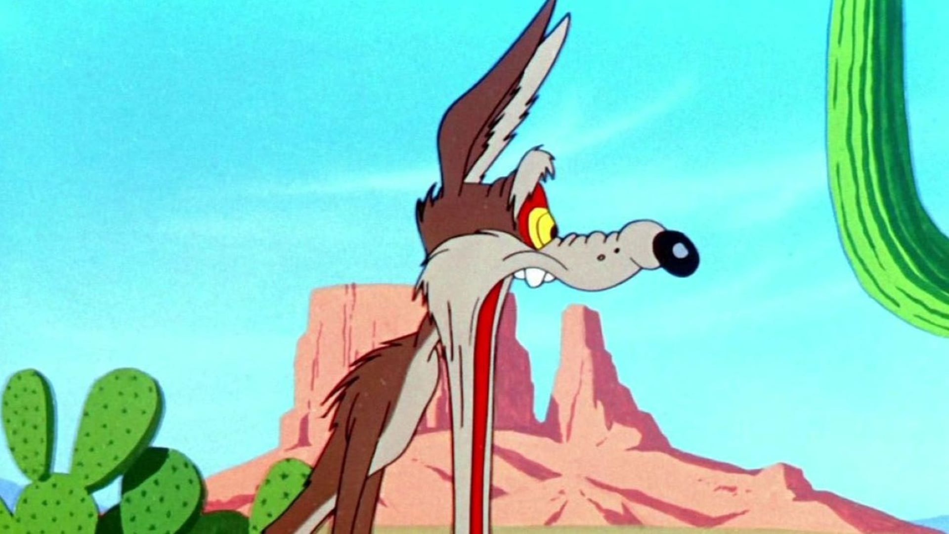 Foto do filme O Veloz e o Furioso