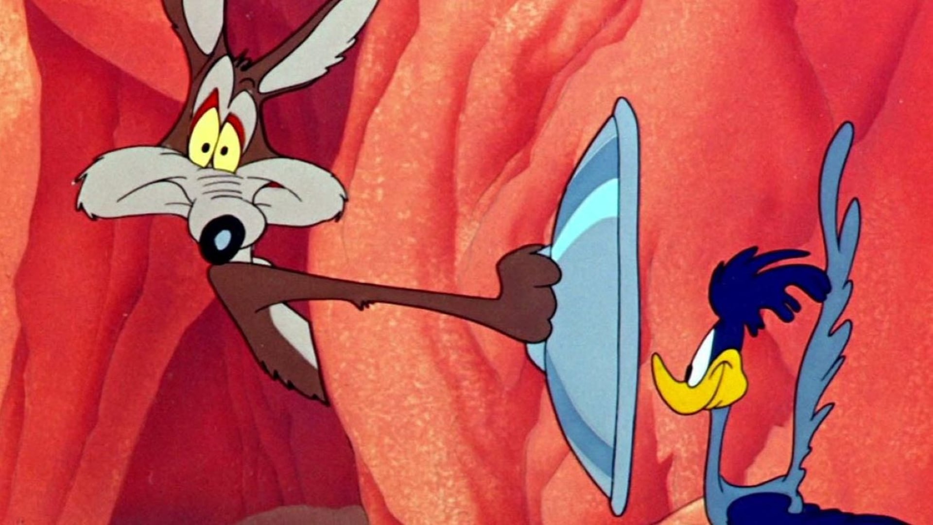 Foto do filme O Veloz e o Furioso