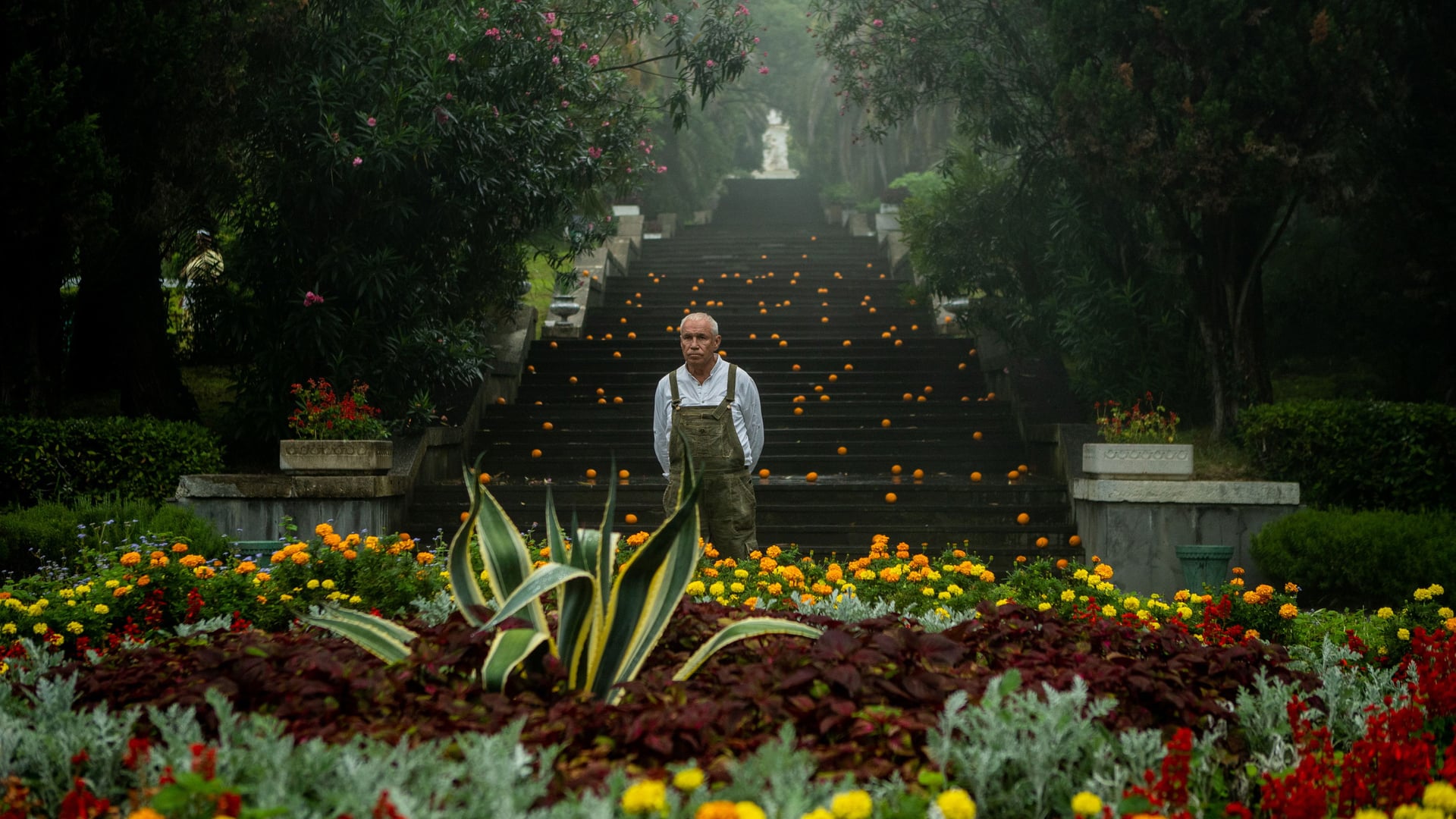 Foto do filme Chebi: My Fluffy Friend