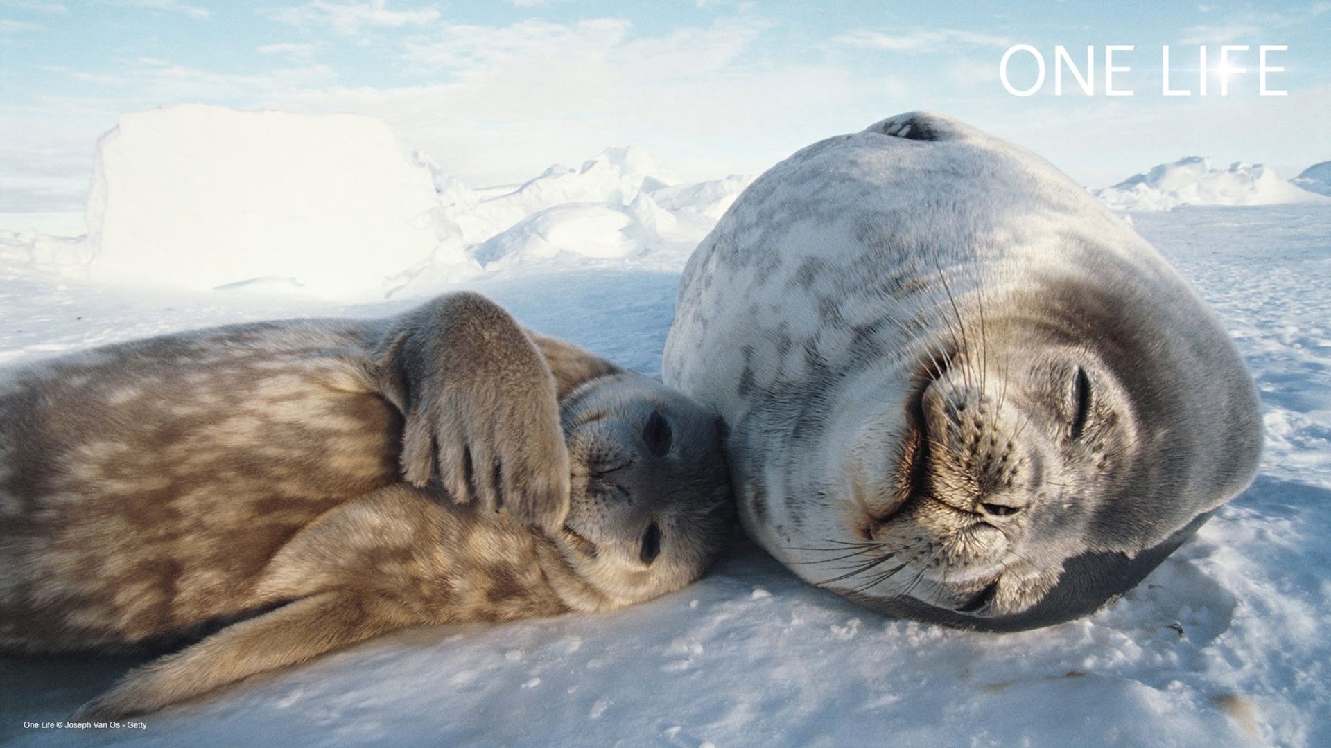 Foto do filme Uma Vida