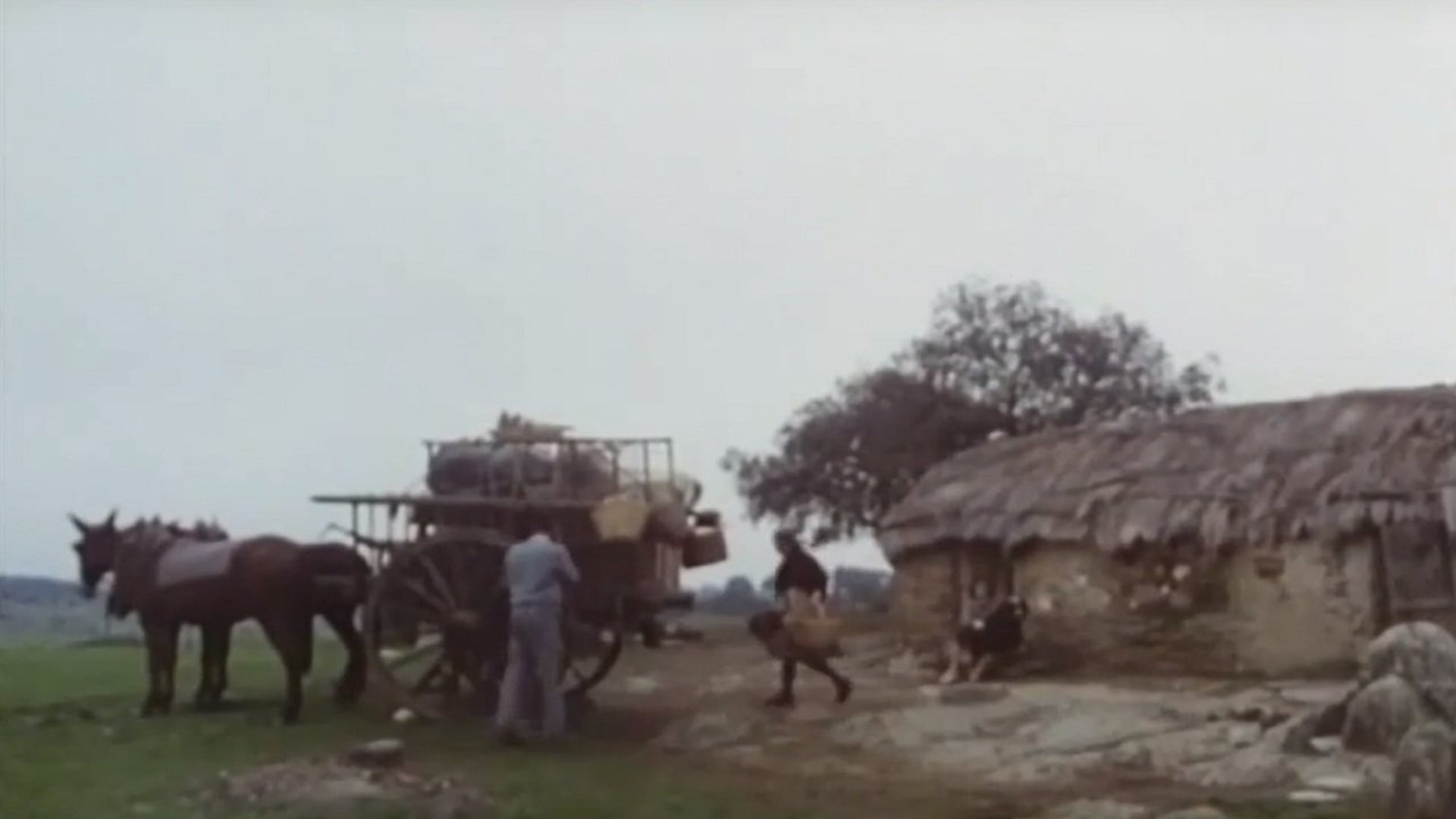 Foto do filme Os Santos Inocentes