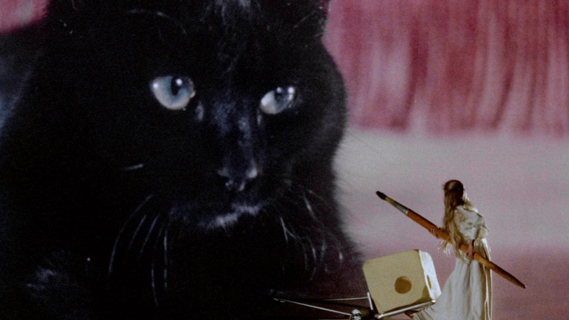 Foto do filme A Maldição dos Gatos