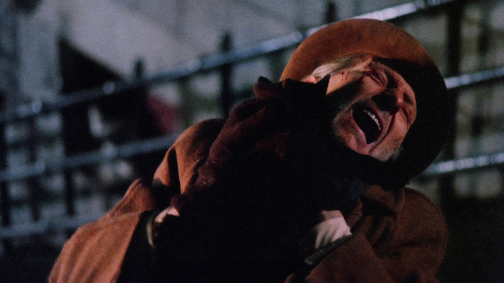 Foto do filme A Maldição dos Gatos