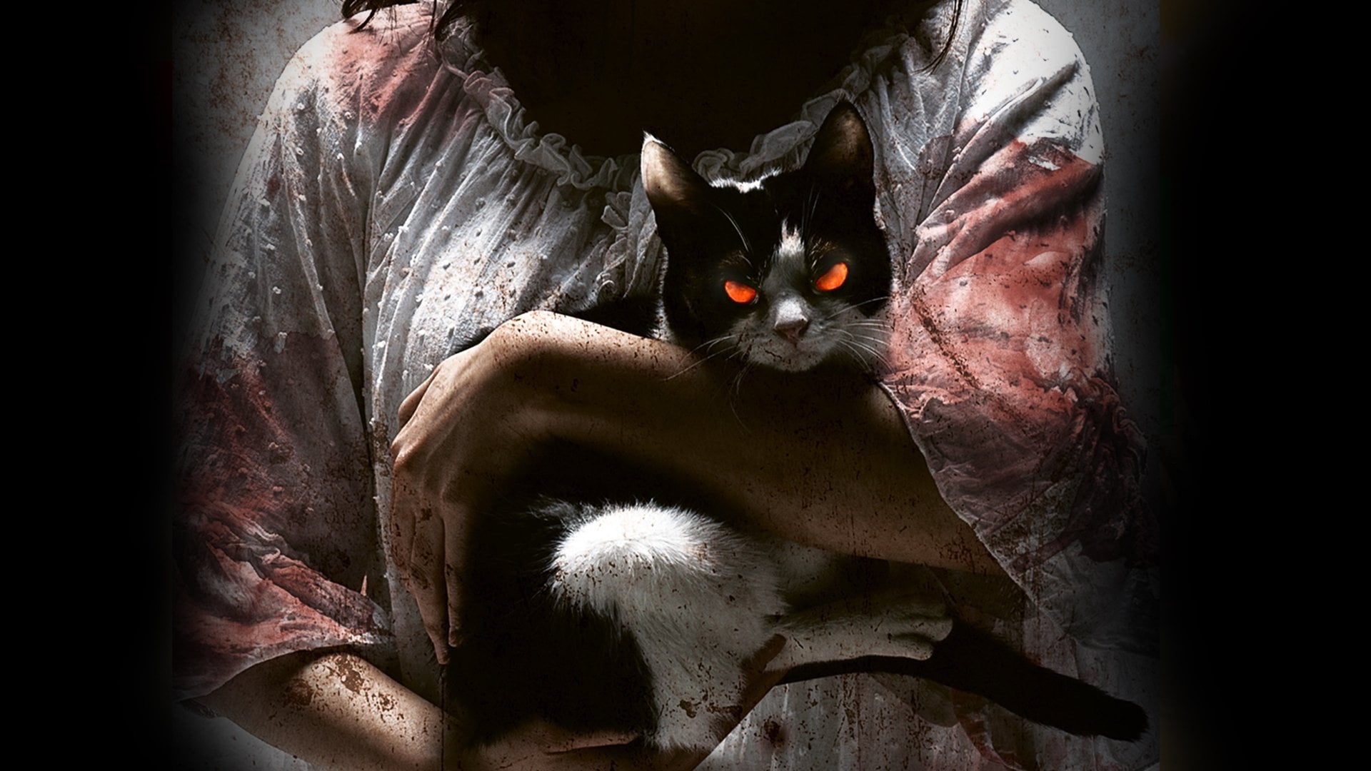 Foto do filme The Cat