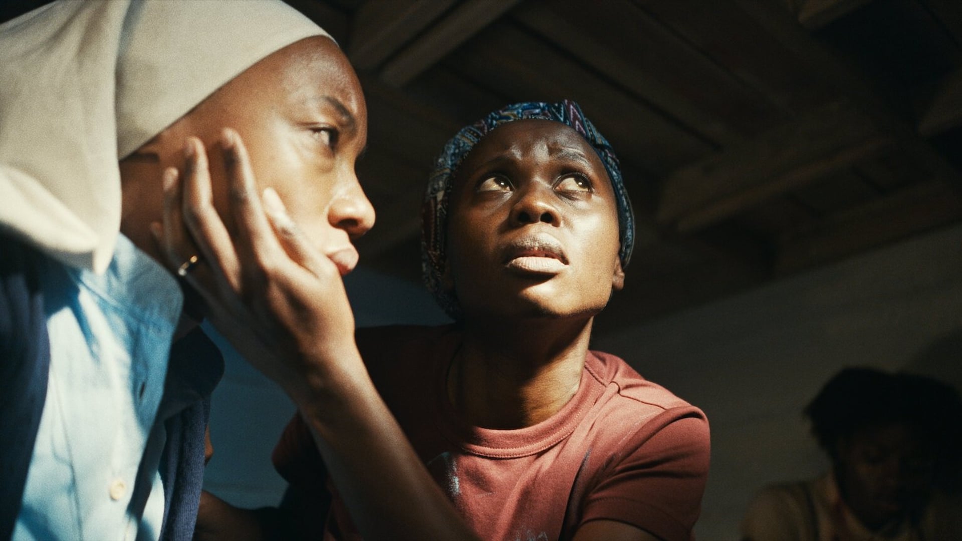 Foto do filme Árvores da Paz
