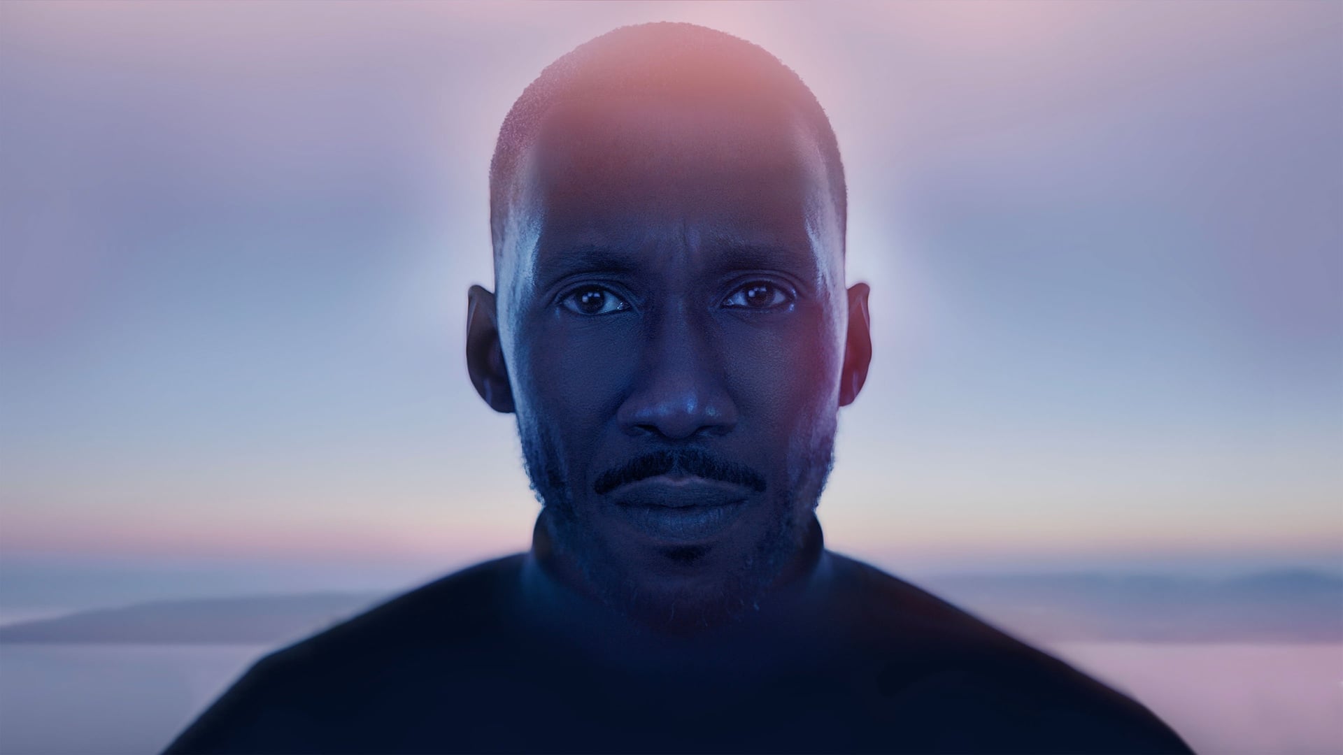 Foto do filme O Canto do Cisne