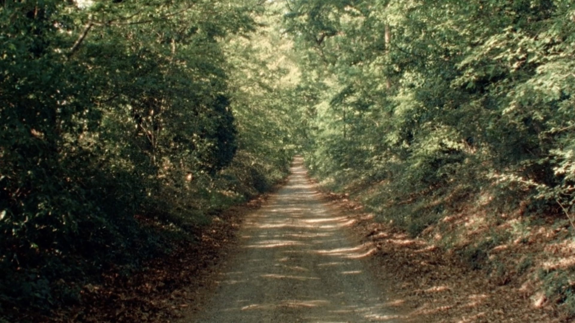 Foto do filme Quattro Strade