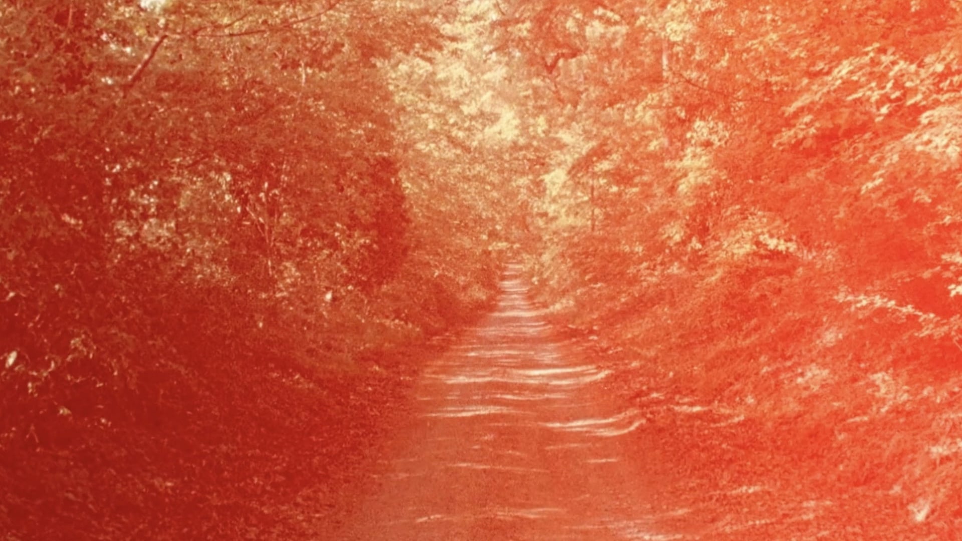Foto do filme Quattro Strade