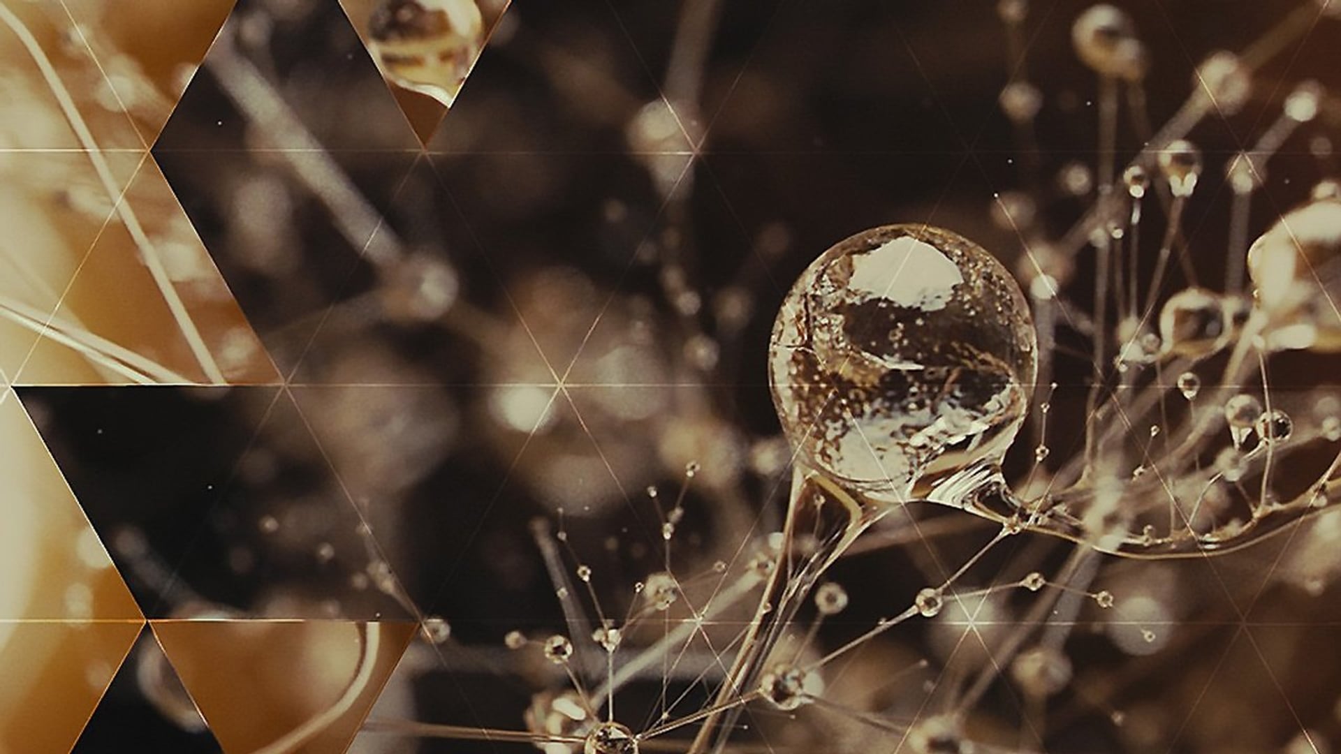 Foto do filme Eva, um Novo Começo