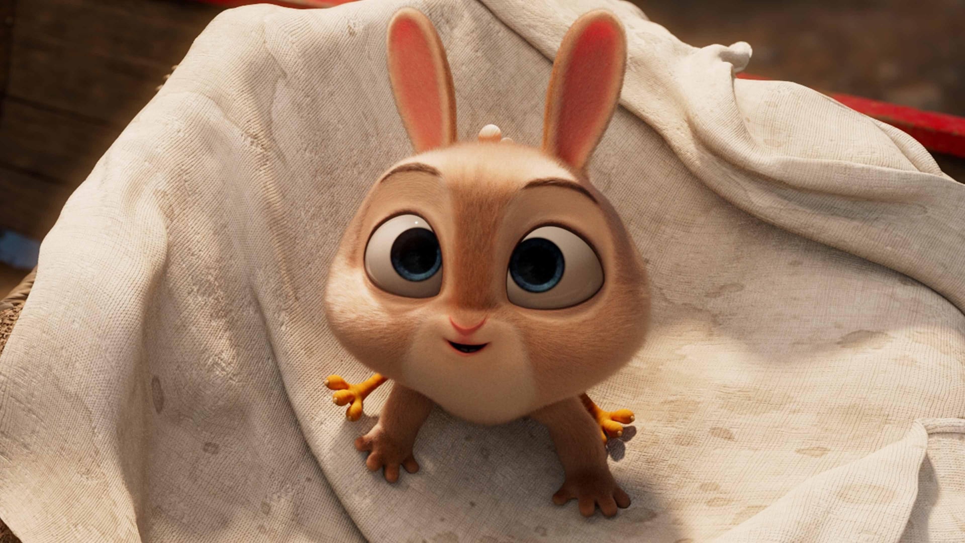 Foto do filme Frangoelho e o Hamster das Trevas