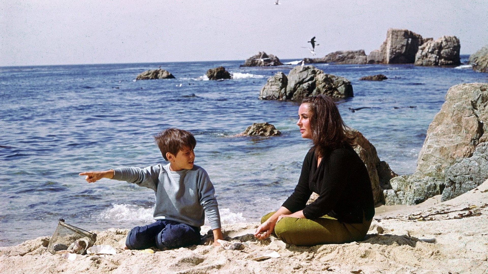 Foto do filme Adeus às Ilusões
