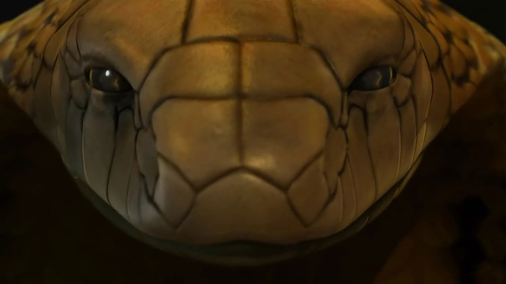 Foto do filme Treasure Buddies: Caça ao Tesouro