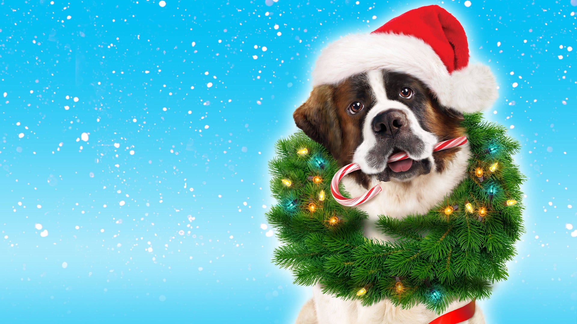 Foto do filme Beethoven: Aventura de Natal