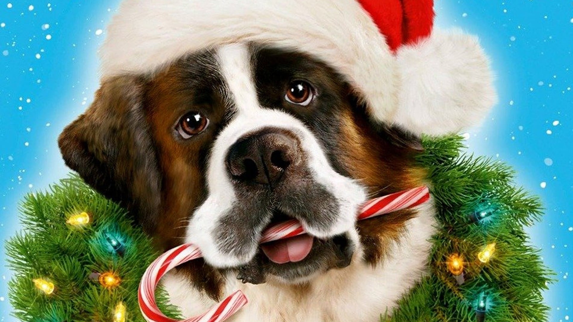 Foto do filme Beethoven: Aventura de Natal