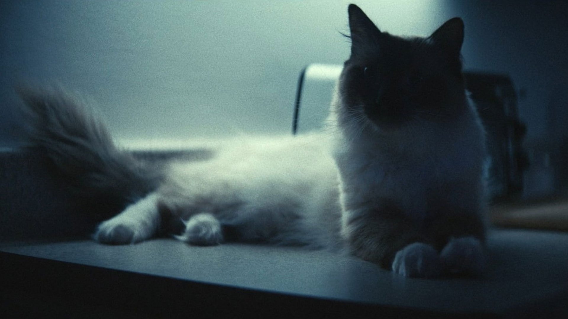 Foto do filme Magazine Dreams