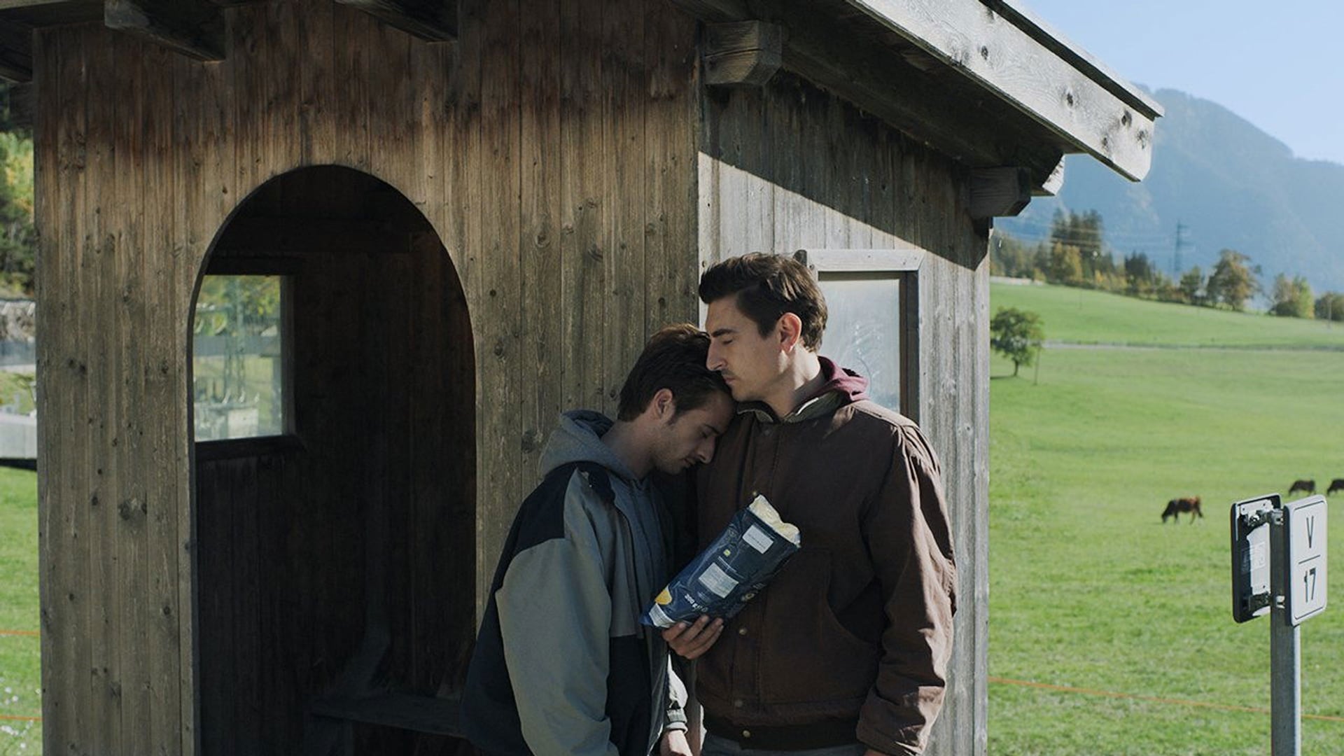 Foto do filme O Homem com as Respostas
