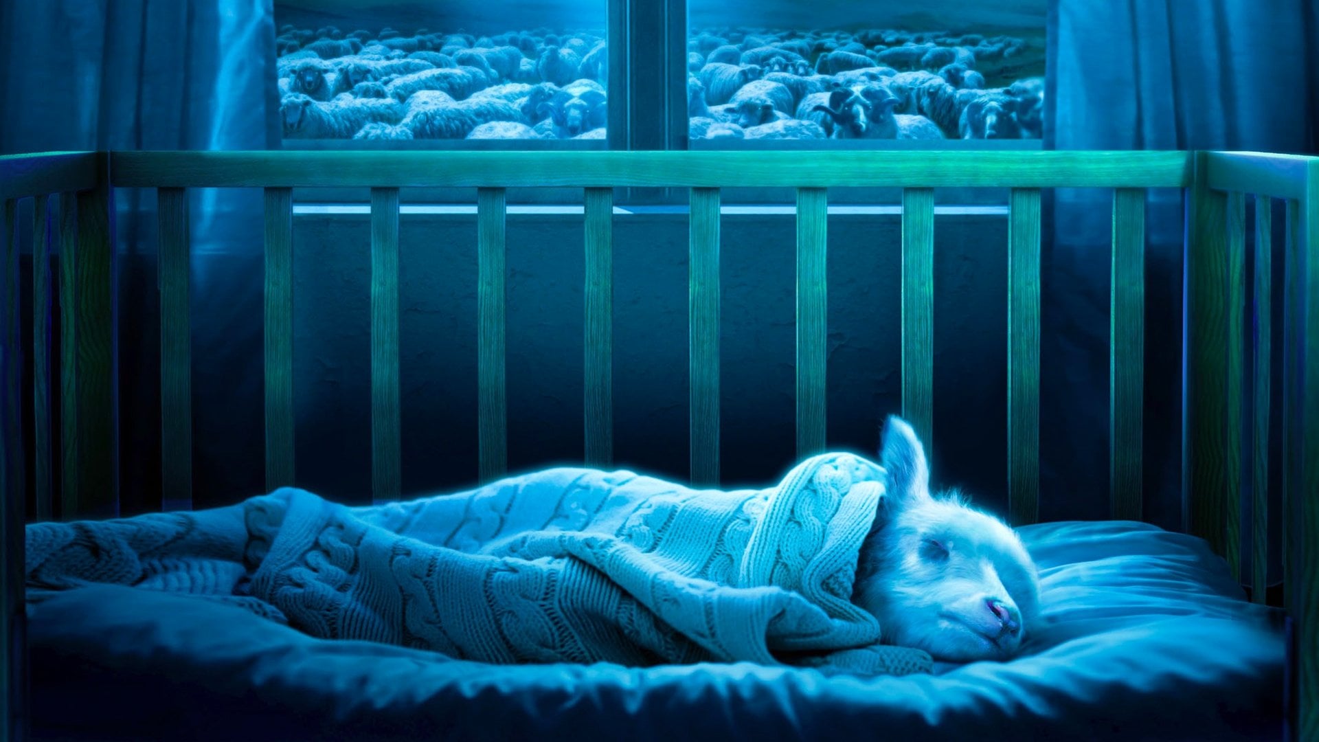 Foto do filme Lamb