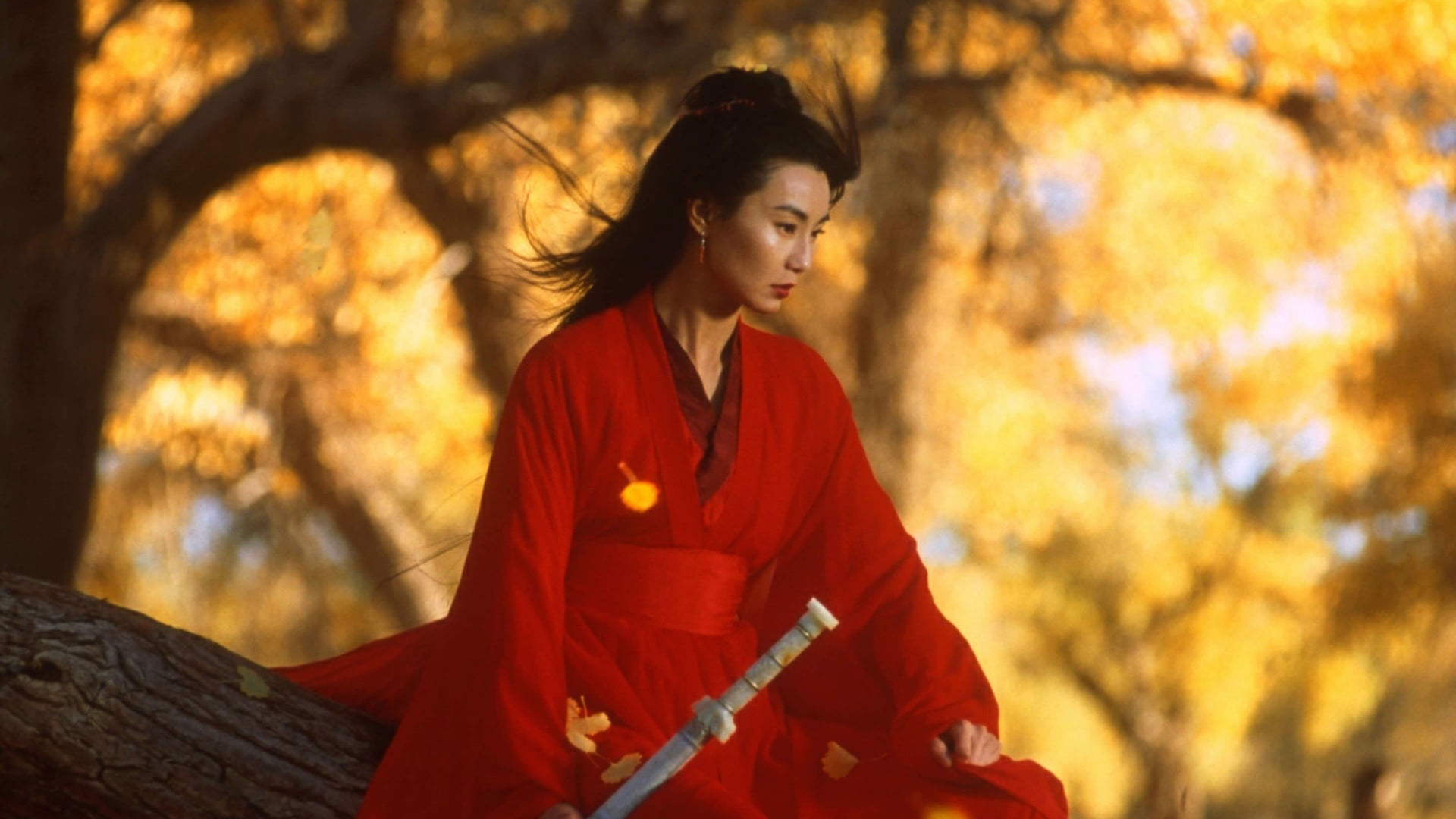 Foto do filme Herói