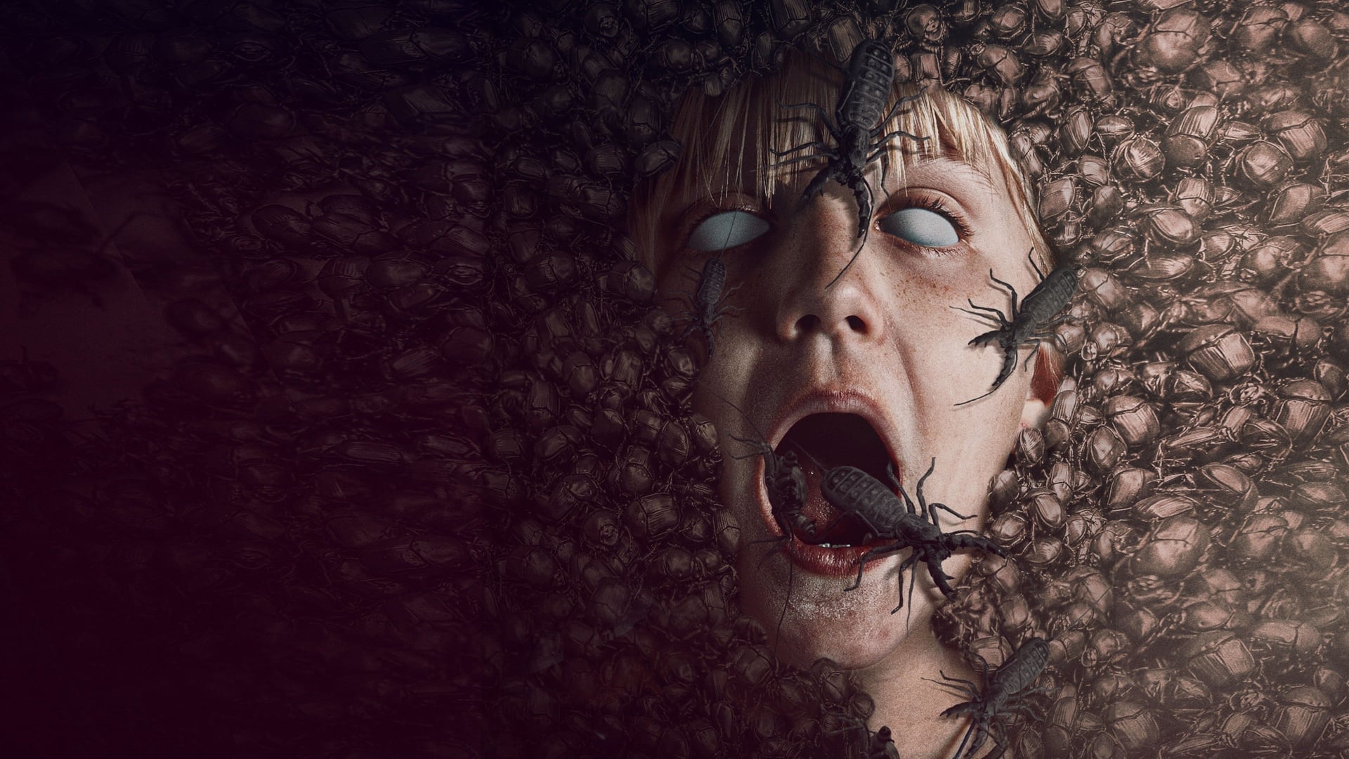 Foto do filme Infestação Assassina