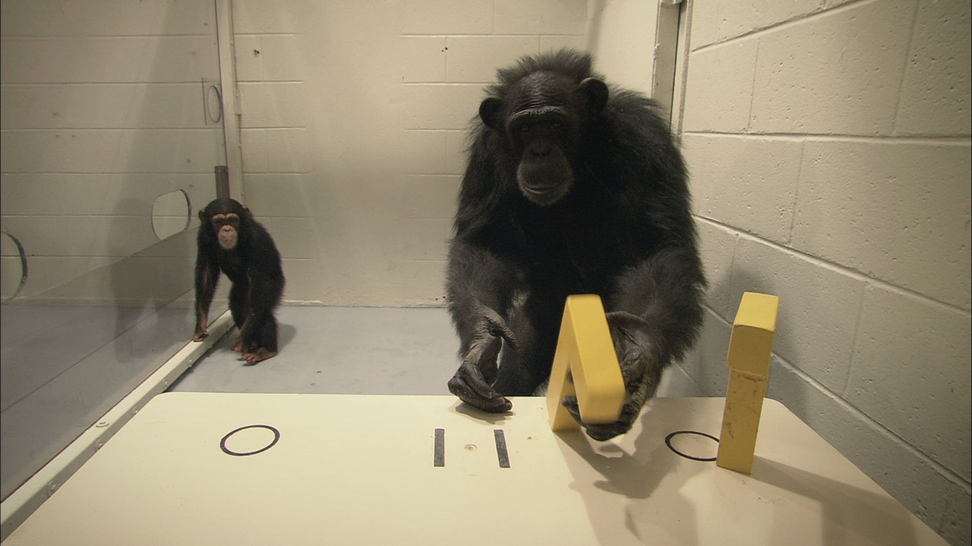 Foto do filme Surviving Progress