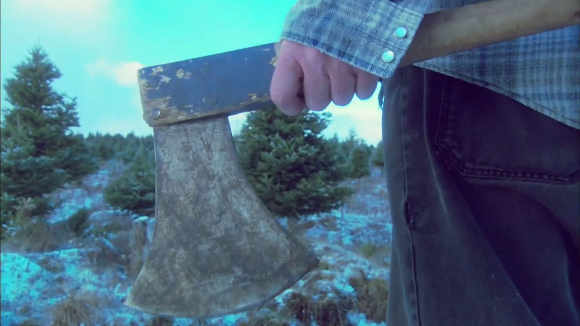 Foto do filme Treevenge