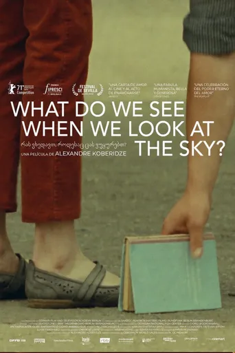 What Do We See When We Look at the Sky?