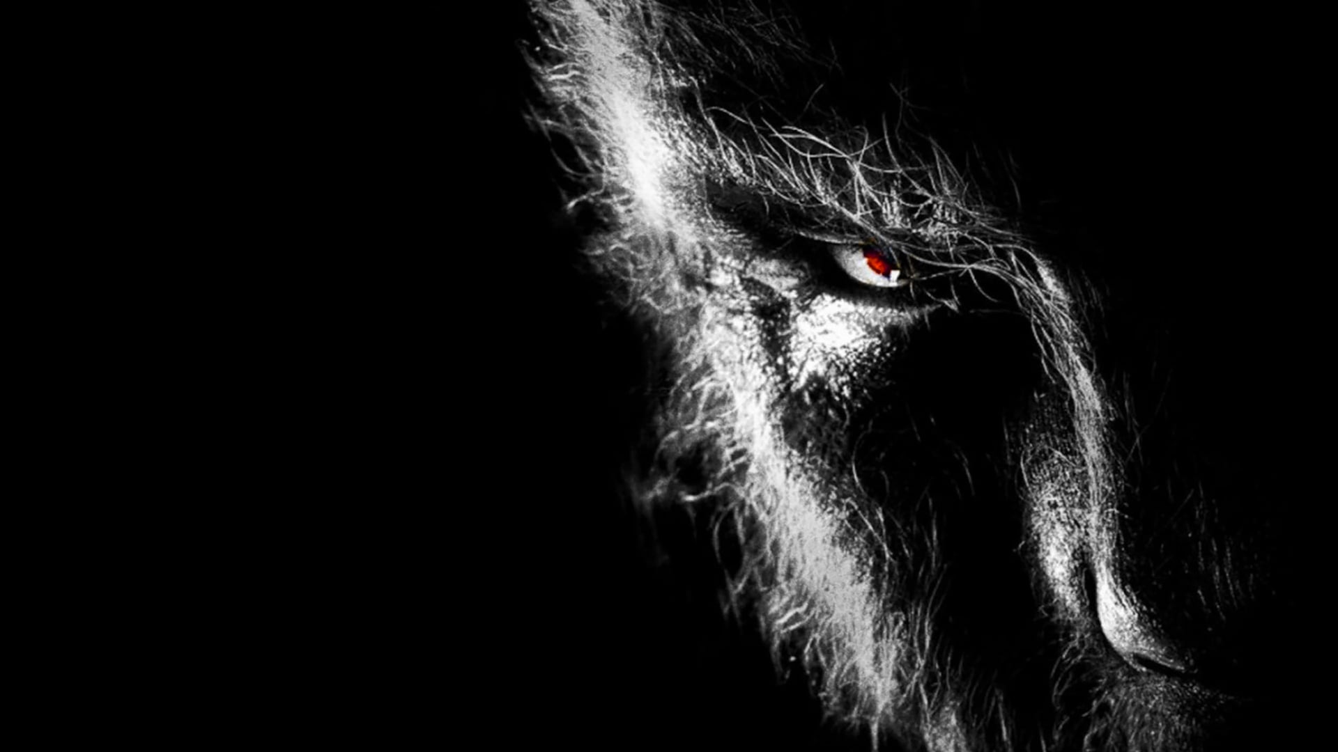 Foto do filme O Lobisomem