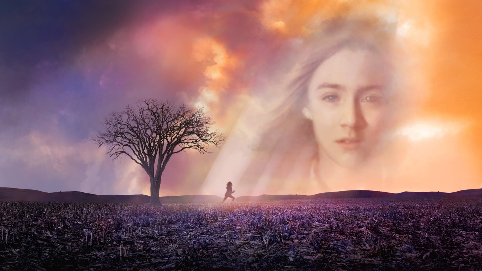 Foto do filme Um Olhar do Paraíso