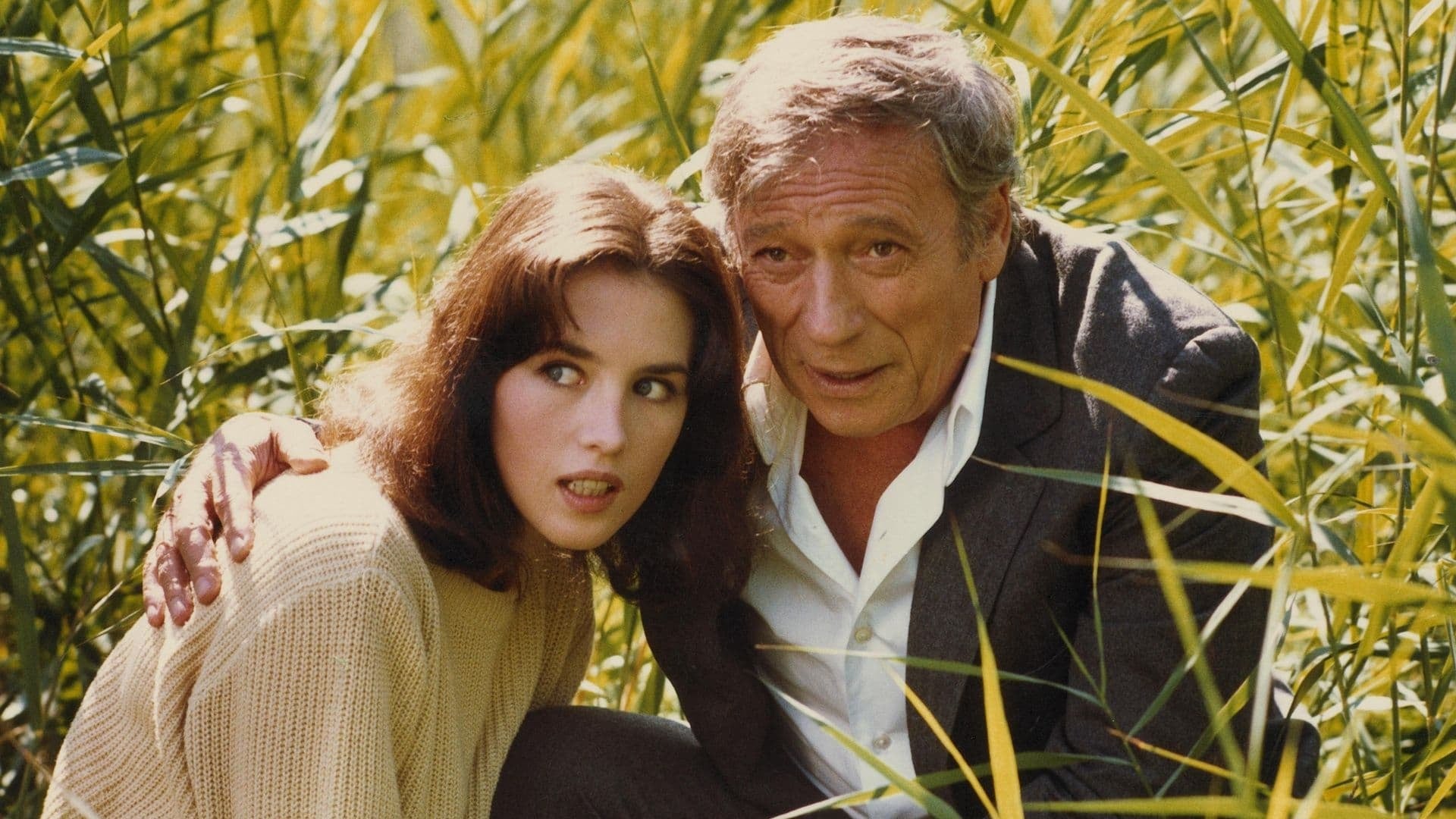 Foto do filme Tout feu, tout flamme