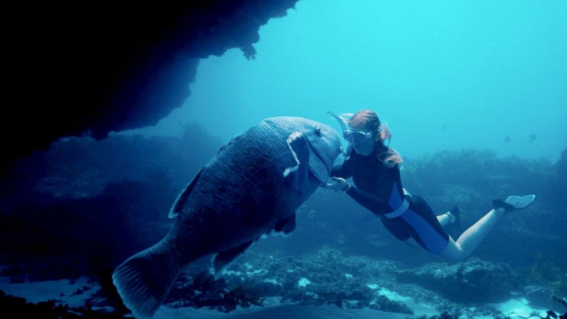 Foto do filme Blueback: Uma Amizade Profunda