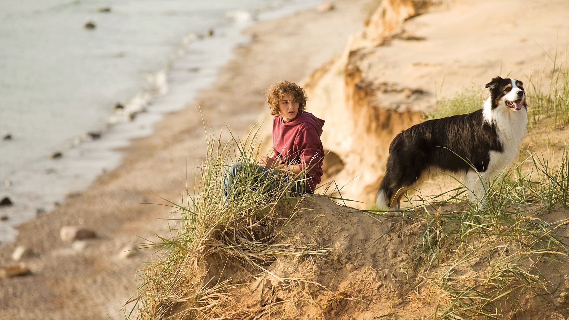 Foto do filme Os Cinco Amigos