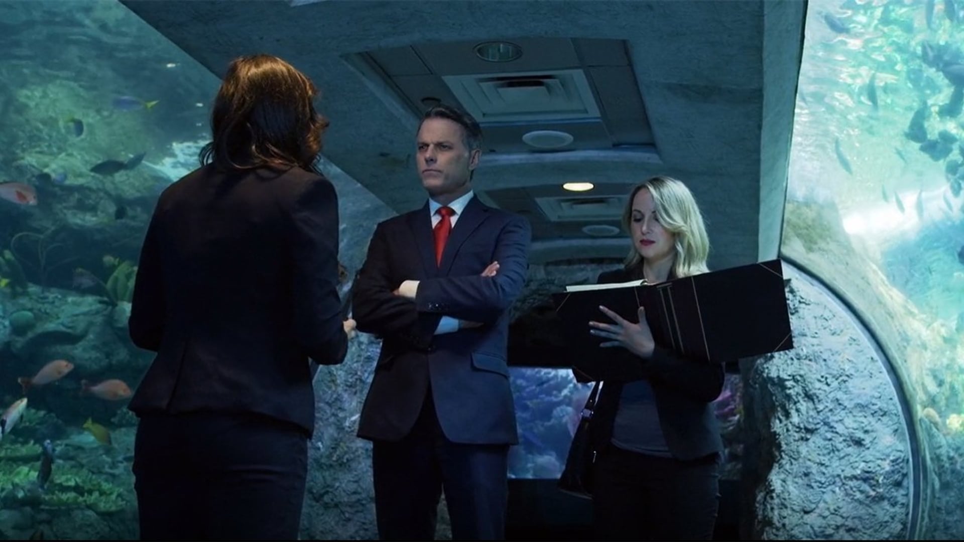 Foto do filme Aquarium of the Dead