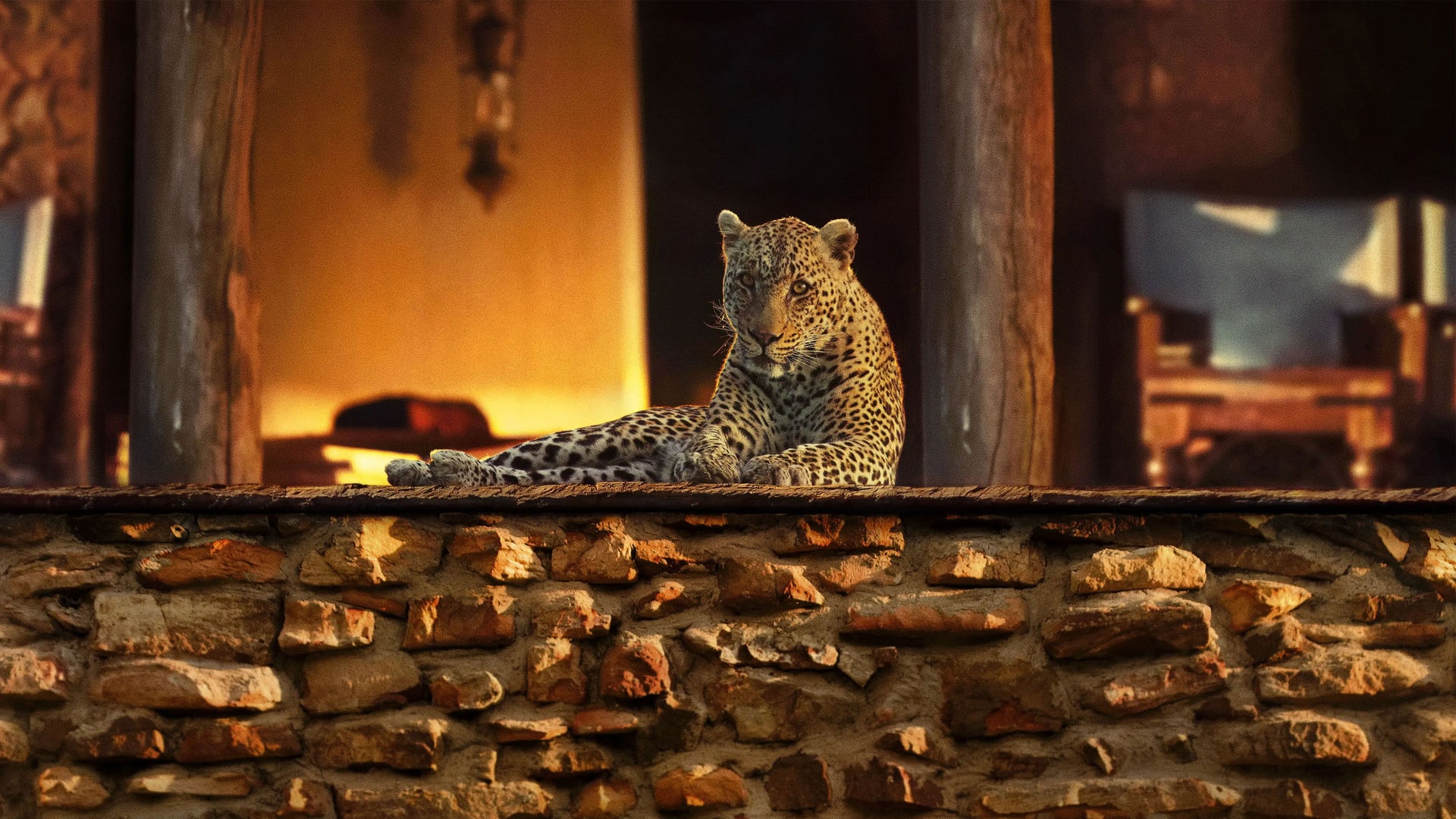 Foto do filme O Ano em que a Terra Mudou