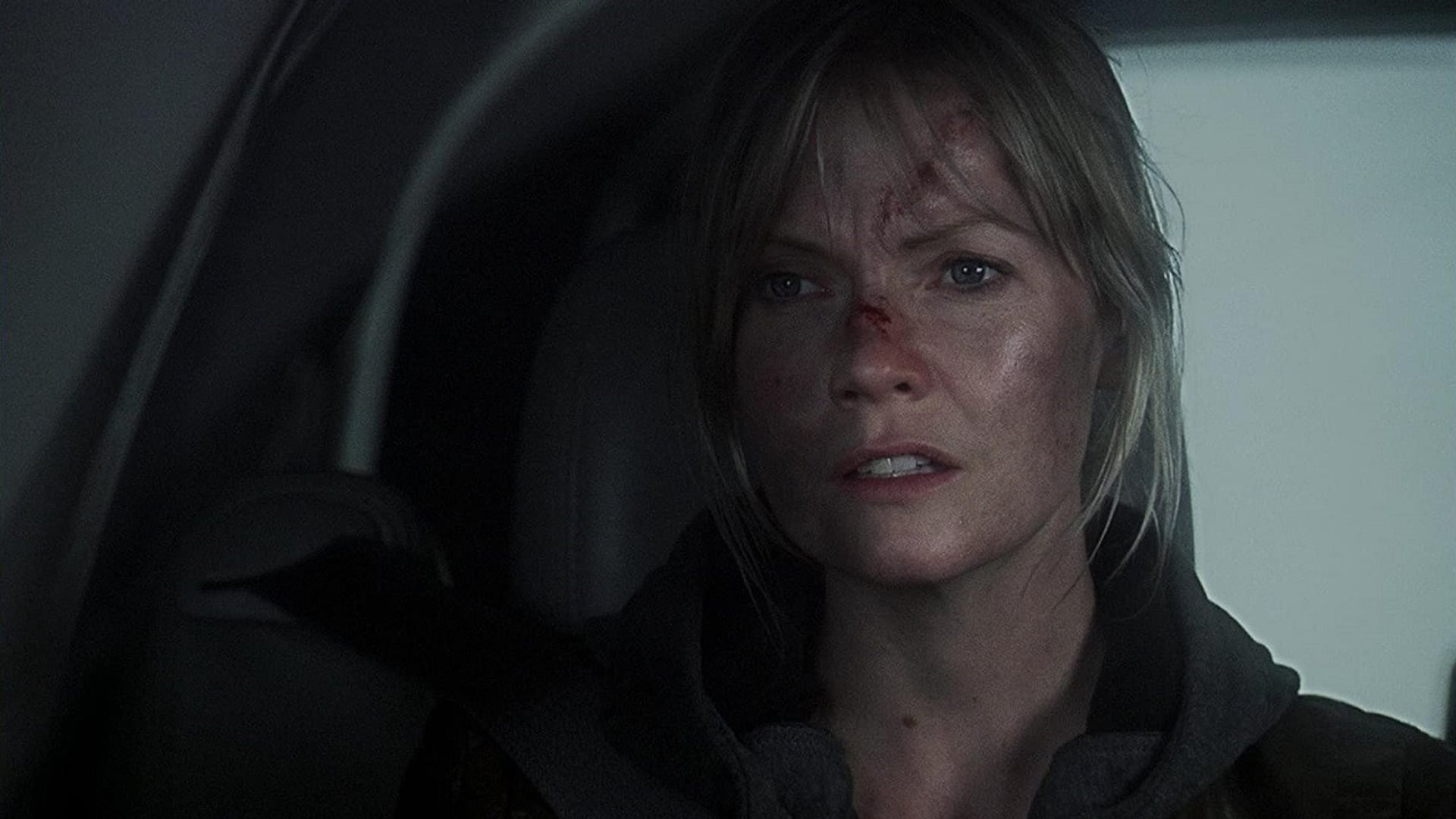 Foto do filme Snowmageddon