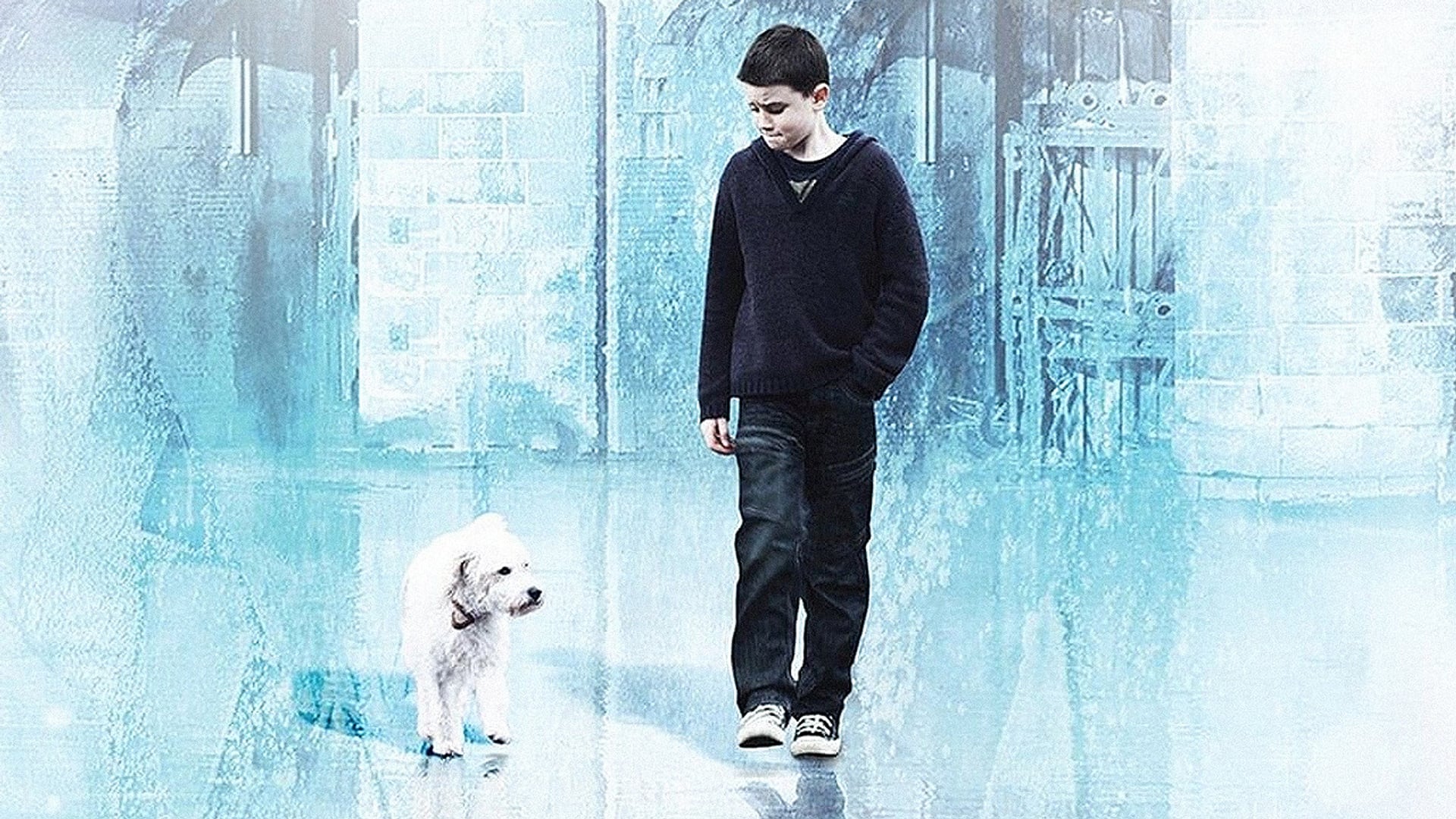 Foto do filme Um Toque de Felicidade