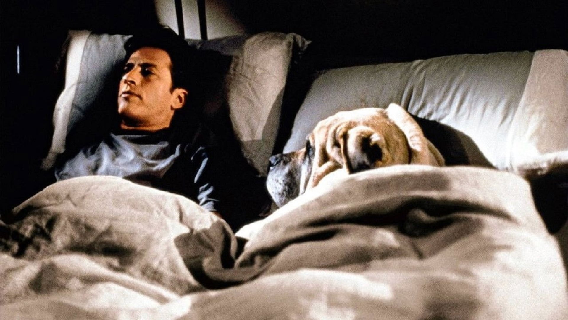 Foto do filme Corações Apaixonados