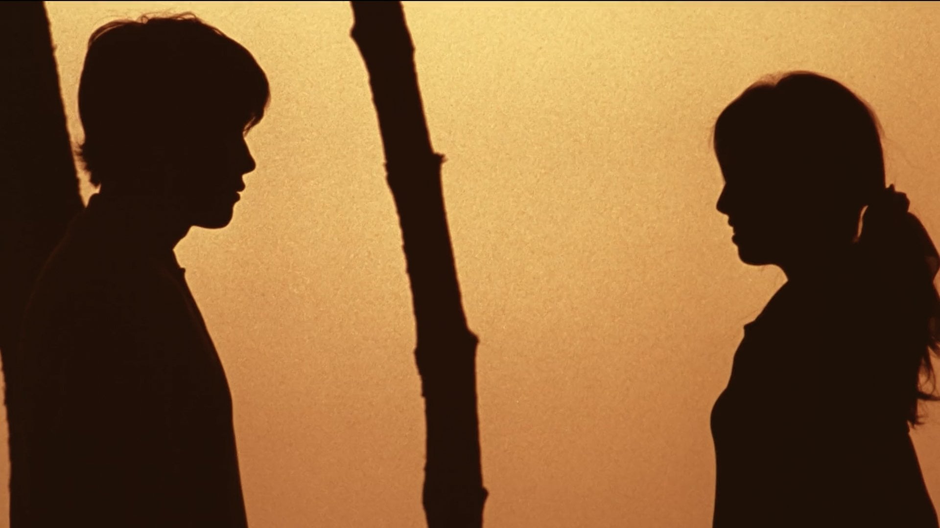 Foto do filme Bungee Jumping of Their Own