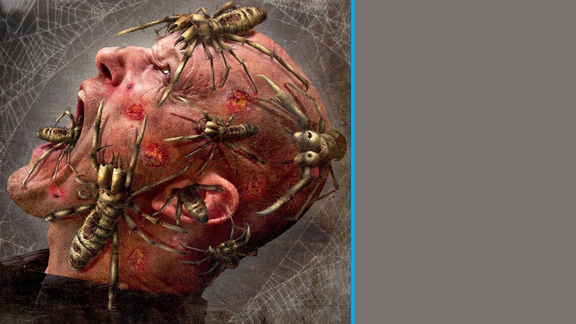 Foto do filme Camel Spiders