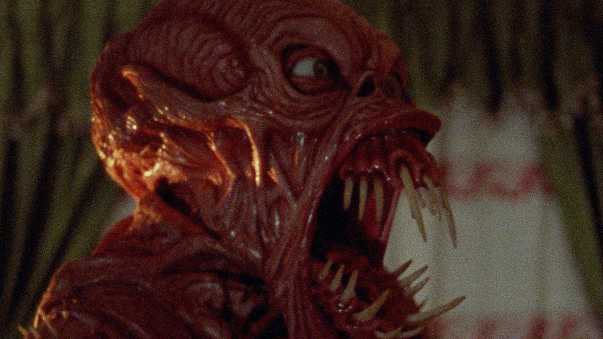 Foto do filme Semente da Maldição