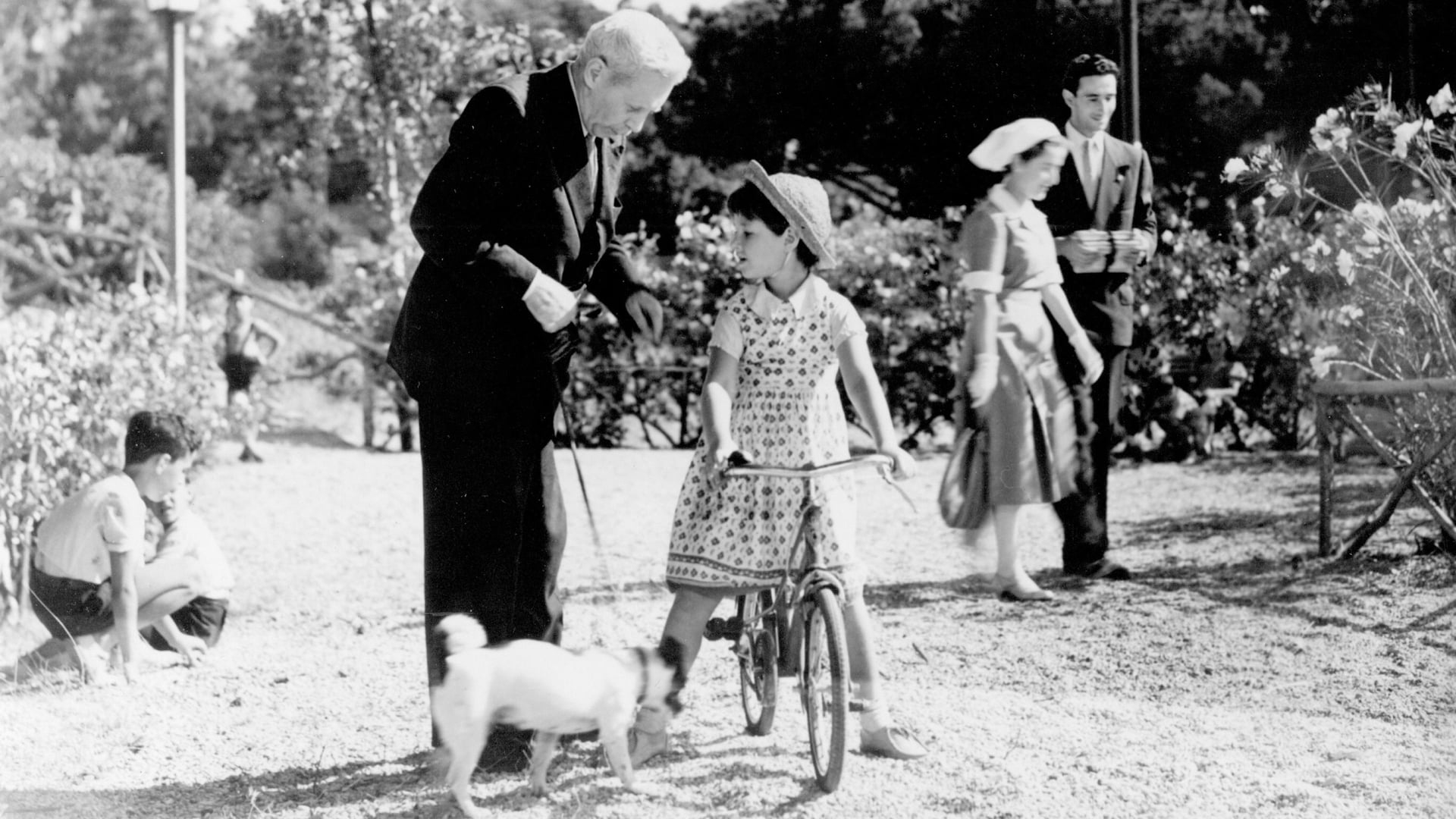 Foto do filme Umberto D.