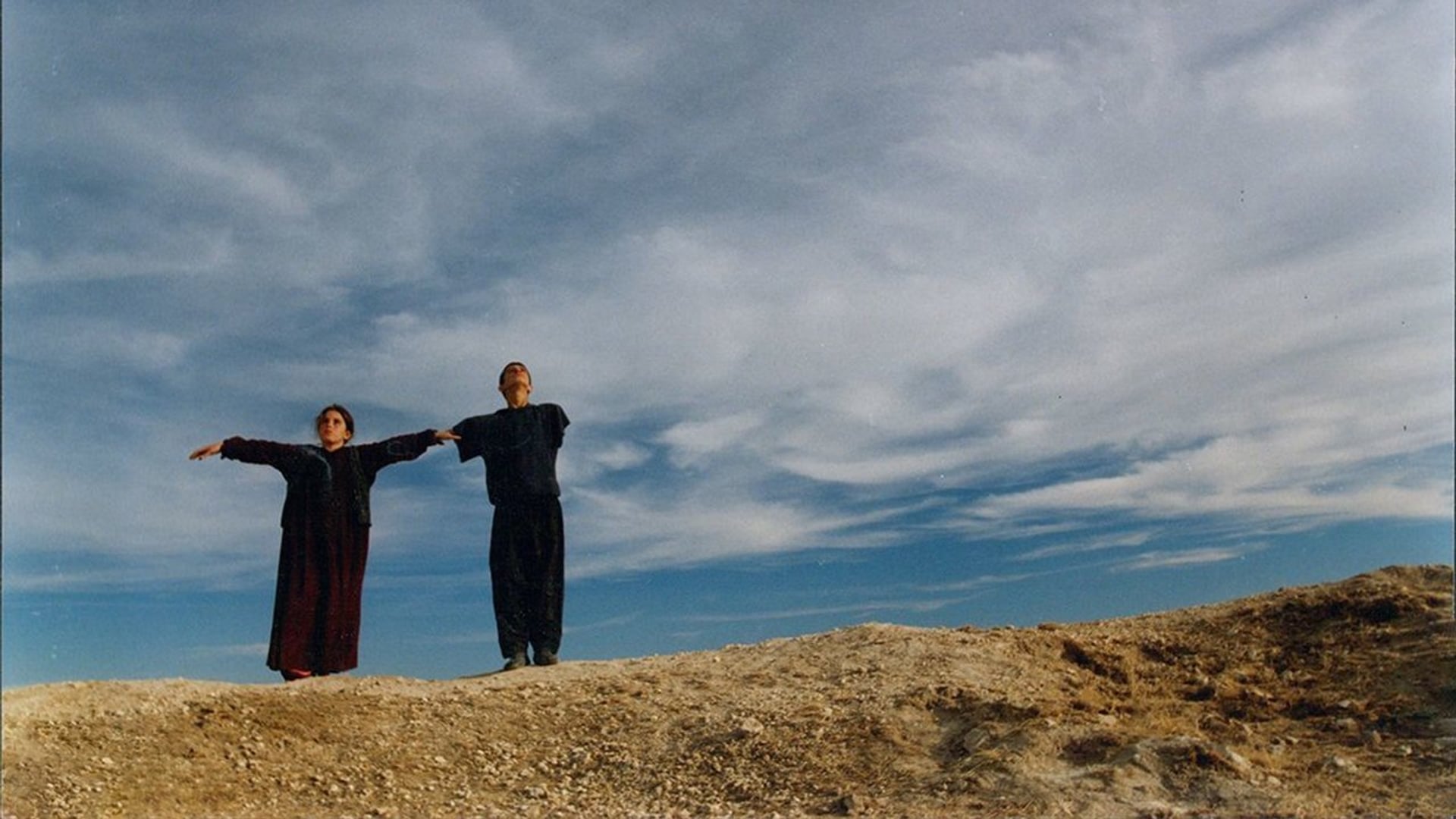 Foto do filme Tartarugas podem Voar