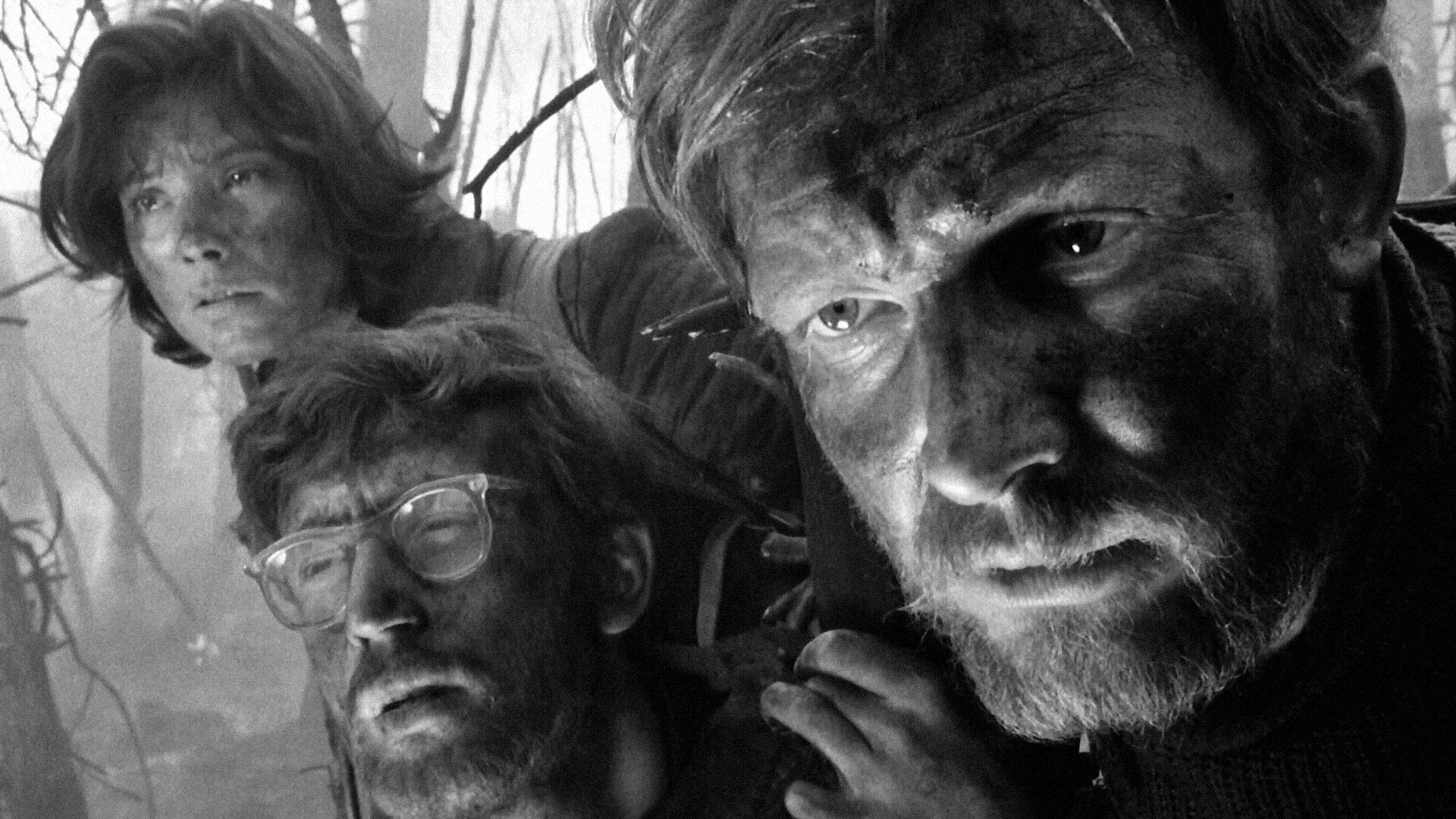 Foto do filme Letter Never Sent