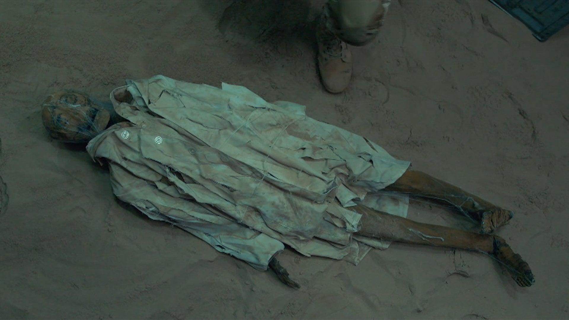 Foto do filme Aranhas! Um Experimento Que Deu Errado