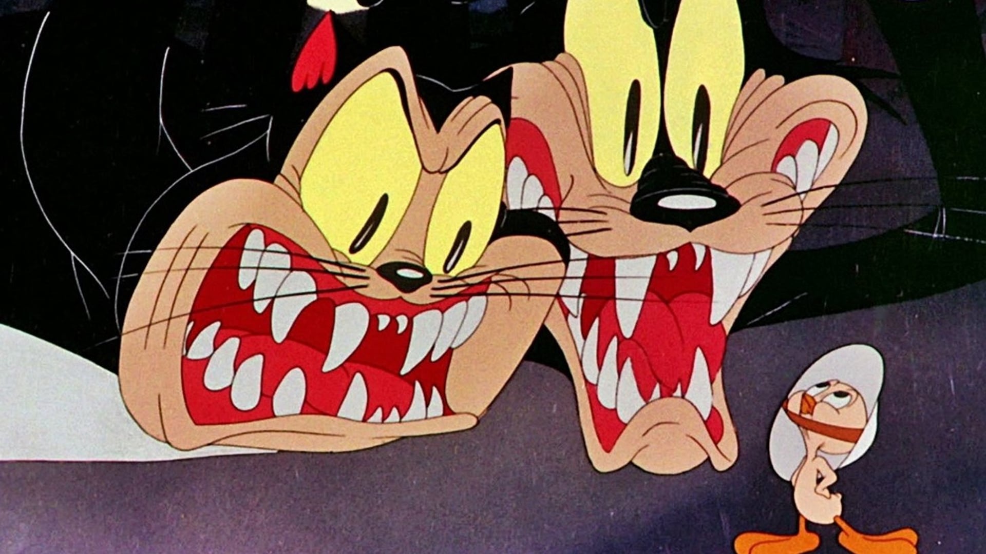 Foto do filme A Tale of Two Kitties