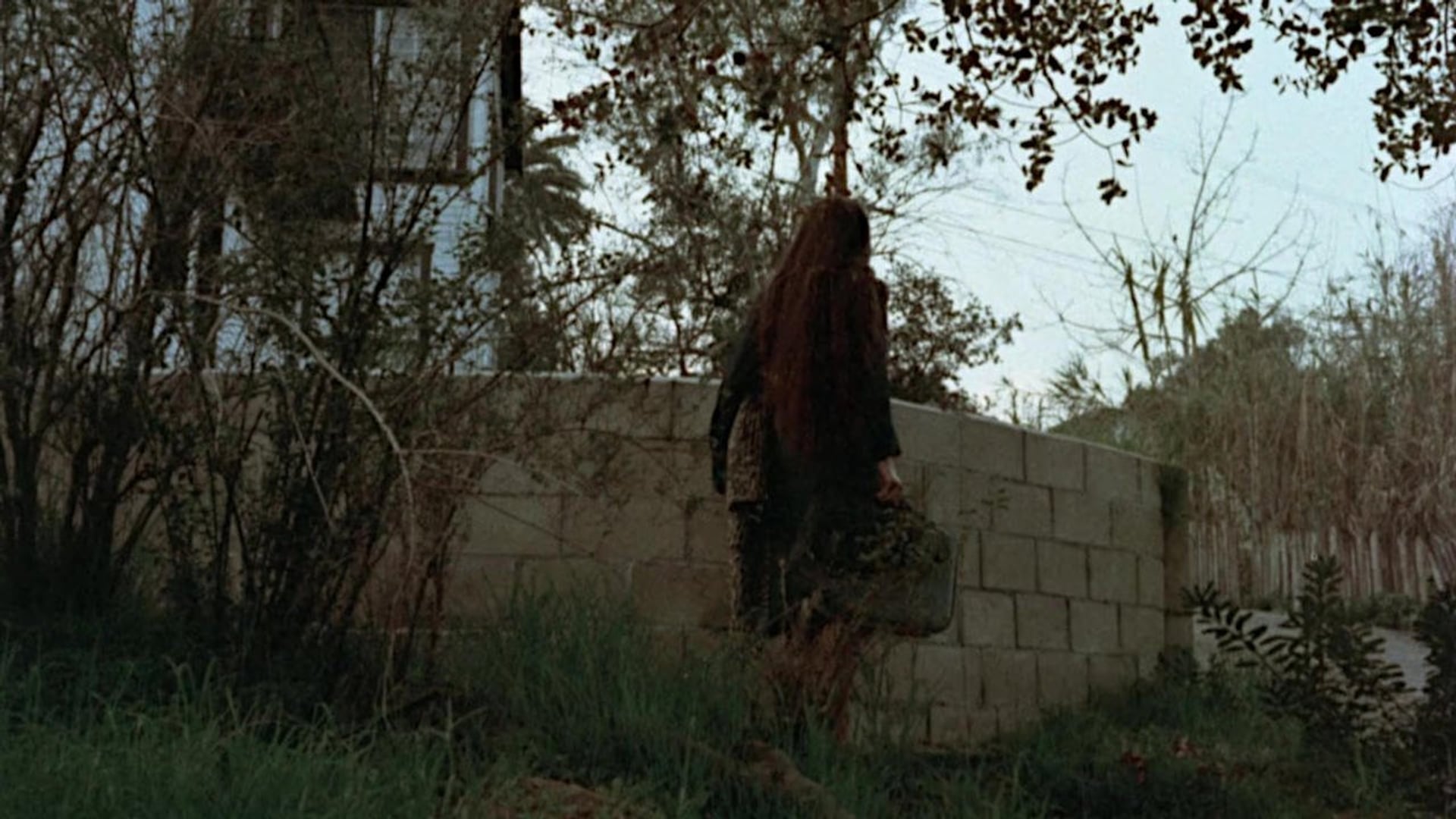 Foto do filme The Child